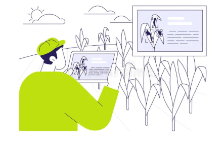 🌿 AgroPulse: AI-Powered Crop Disease Detection